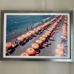 Framed Gray Malin print